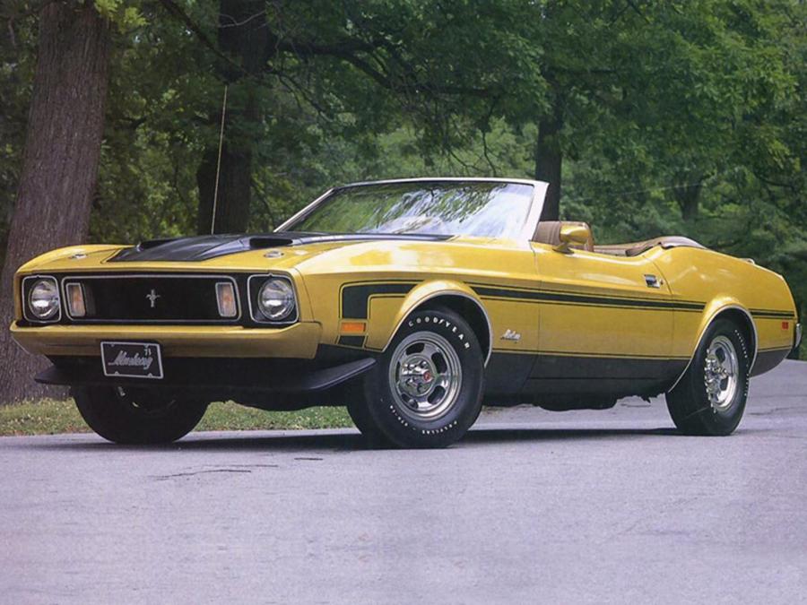  Ford Mustang Convertible 1973 года  (фото 8 из 18)